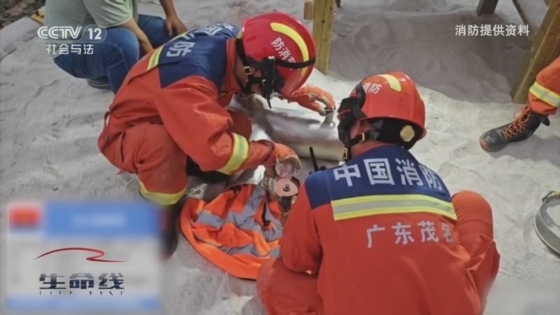 《生命线》 20260216