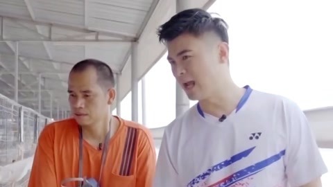 参观兴宁鸽舍 打工体验养鸽生活
