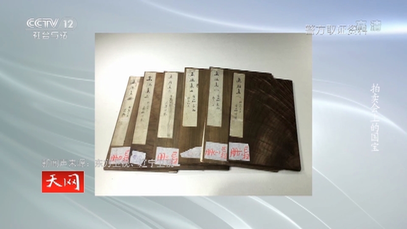 《天网》 20210812 拍卖会上的国宝