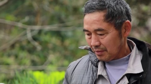 传奇故事 遗书风波