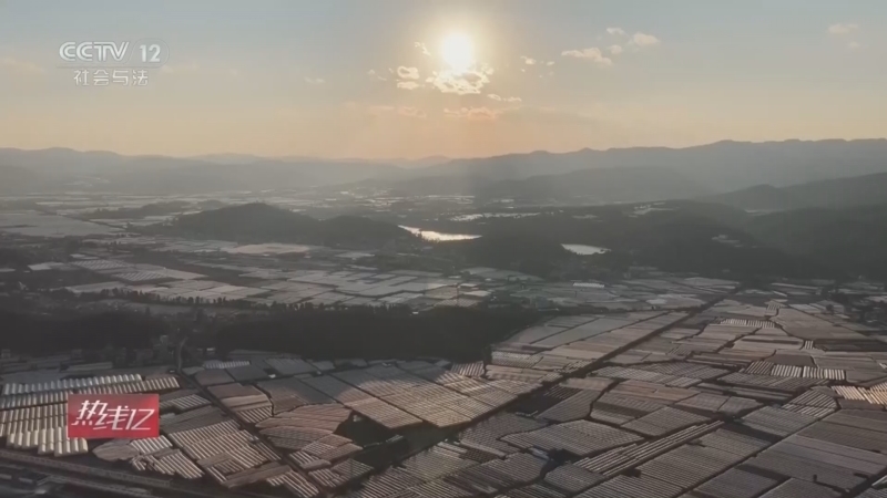 热线12 《热线12》 20260309