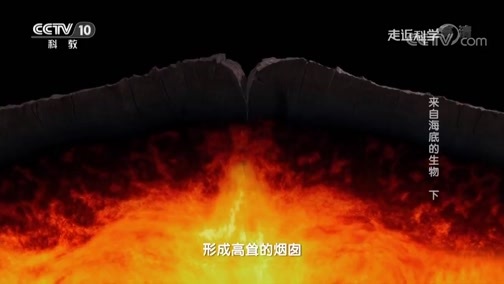 走近科学 《走近科学》 20190227 来自海底的生物（下）