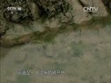 芝麻开门【央视】 《芝麻开门》 20160709 挑战大现场