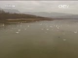 新闻直播间 《新闻直播间》 20151210 14:00
