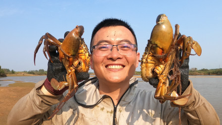 思乡渔夫赶海 惦记了一星期的螃蟹洞，渔夫抓出了4只5斤的大螃蟹，乐坏了！