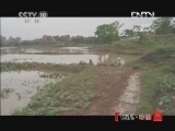 地理中国 《地理中国》 20121130 山村魅影