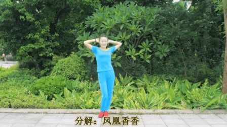 凤凰香香广场舞 《我到底那里有错》原创舞蹈