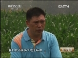 生财有道 [生财有道]种田致富好帮手(20130302)