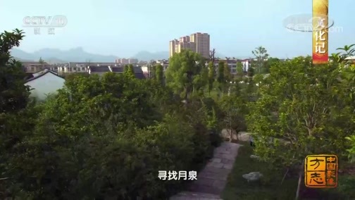 中国影像方志 《中国影像方志》 第440集 浙江浦江篇