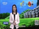 小区大事 《小区大事》 20160909 一只手的代价