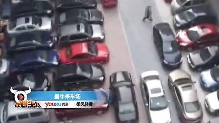 民间牛人 十一长假停车难 各路牛人亮绝招 17