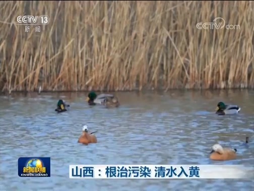 新闻联播 《新闻联播》 20191222 19:00