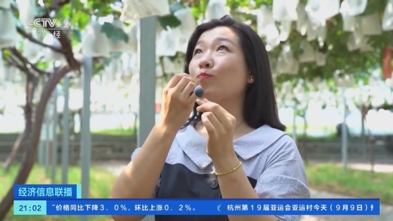 经济信息联播 《经济信息联播》 20230909