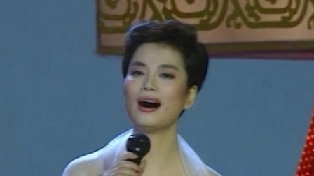 央视1992春晚 毛阿敏刘德华张雨生《心中常驻芳华》，两岸三地首次同唱一首歌