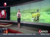 东方新闻 《东方新闻》 20180403