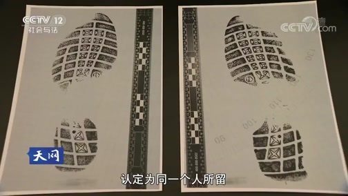 天网 《天网》 20190111 迷雾案中案（下）