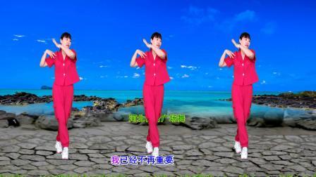 DJ广场舞《只要你能过得好》32步附分解