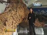 生财有道 《生财有道》 20160408 生态中国系列：长兴县——春天的财富