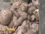 中国财经报道 《中国财经报道》 20160109 乙未农村纪事：造田高手的秘密