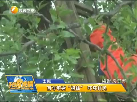 华夏夜表情 《华夏夜表情》 20150609