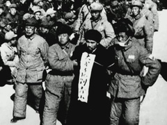 人民的领袖&mdash;&mdash;毛泽东的130个瞬间 第九十四集：铁拳反腐