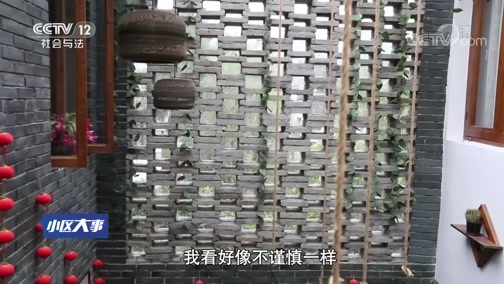 小区大事 《小区大事》 20190608 回乡