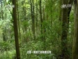 地理中国 《地理中国》 20170218 神塔幽洞（上）