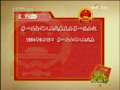 新闻袋袋裤 新闻袋袋裤 2009年 第52期
