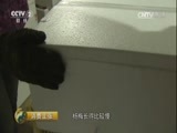 消费主张 《消费主张》 20170606 水果市场消费调查：杨梅