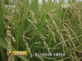 生财有道 《生财有道》 20160209 大米姐的生态财富