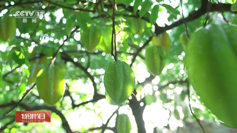 《奋楫新征程 2023》 20221231