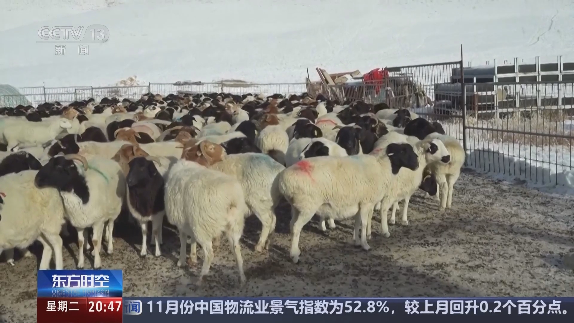 东方时空 《东方时空》 20241203