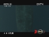 军事科技 《军事科技》 20120825 新中国兵器档案②——飞越大洋（下）