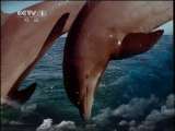 人与自然 人与自然 2011年 第75期