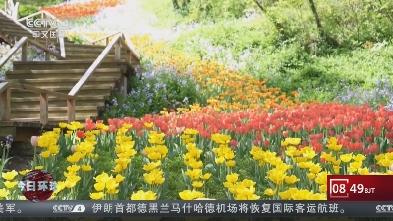 今日环球 《今日环球》 20260420