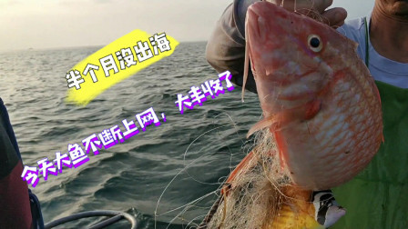 南澳岛赶海日记 小伙外海捕鱼遇狂风，放下几千米网遇到鱼群，大货一直上停不下来