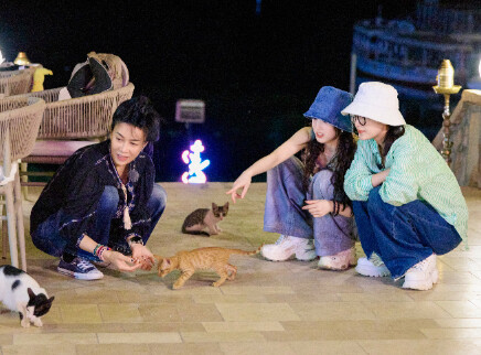 花儿与少年&middot;同心季 加更版：那英沉浸式“嘬”猫