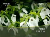 地理中国 《地理中国》 20150911 天漏之地