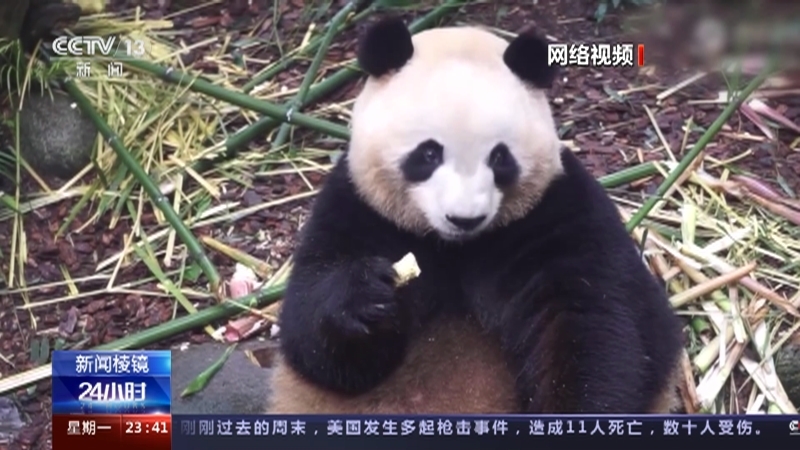 24小时 《24小时》 20230515