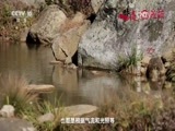 味道 《味道》 20170101 2017元旦特辑 老城新味道（一）