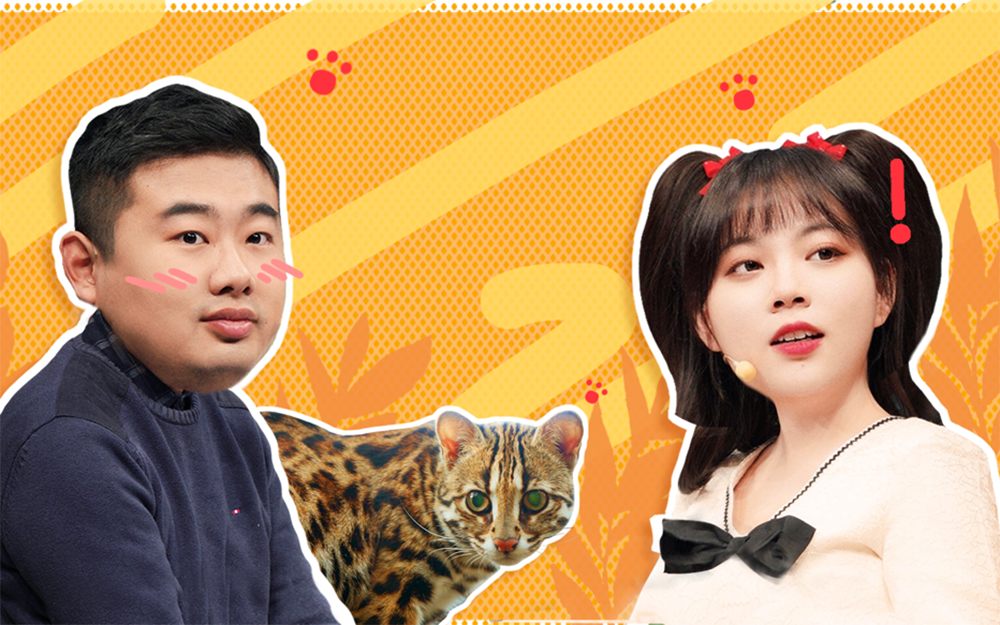 豹猫野化训练 这个