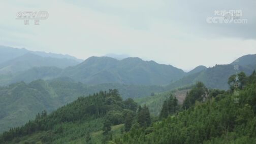地理中国 《地理·中国》 20200724 水域秘境·水中藏宝