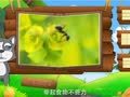 看图识物 蝗虫 蚂蚁 蟋蟀