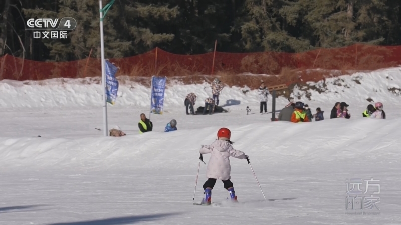 远方的家 《远方的家》 20260211 宝藏之城 雪豹家园 河湟新章