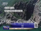热线12 《热线12》 20180704