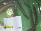 生财有道 《生财有道》 20160927 生态中国系列（沿海行）——走进大连海王九岛