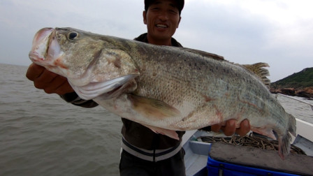岛民阿杰玩海钓 大风大浪的天气，各种猛货疯狂咬钩，这样的天气钓鱼绝对是实力派