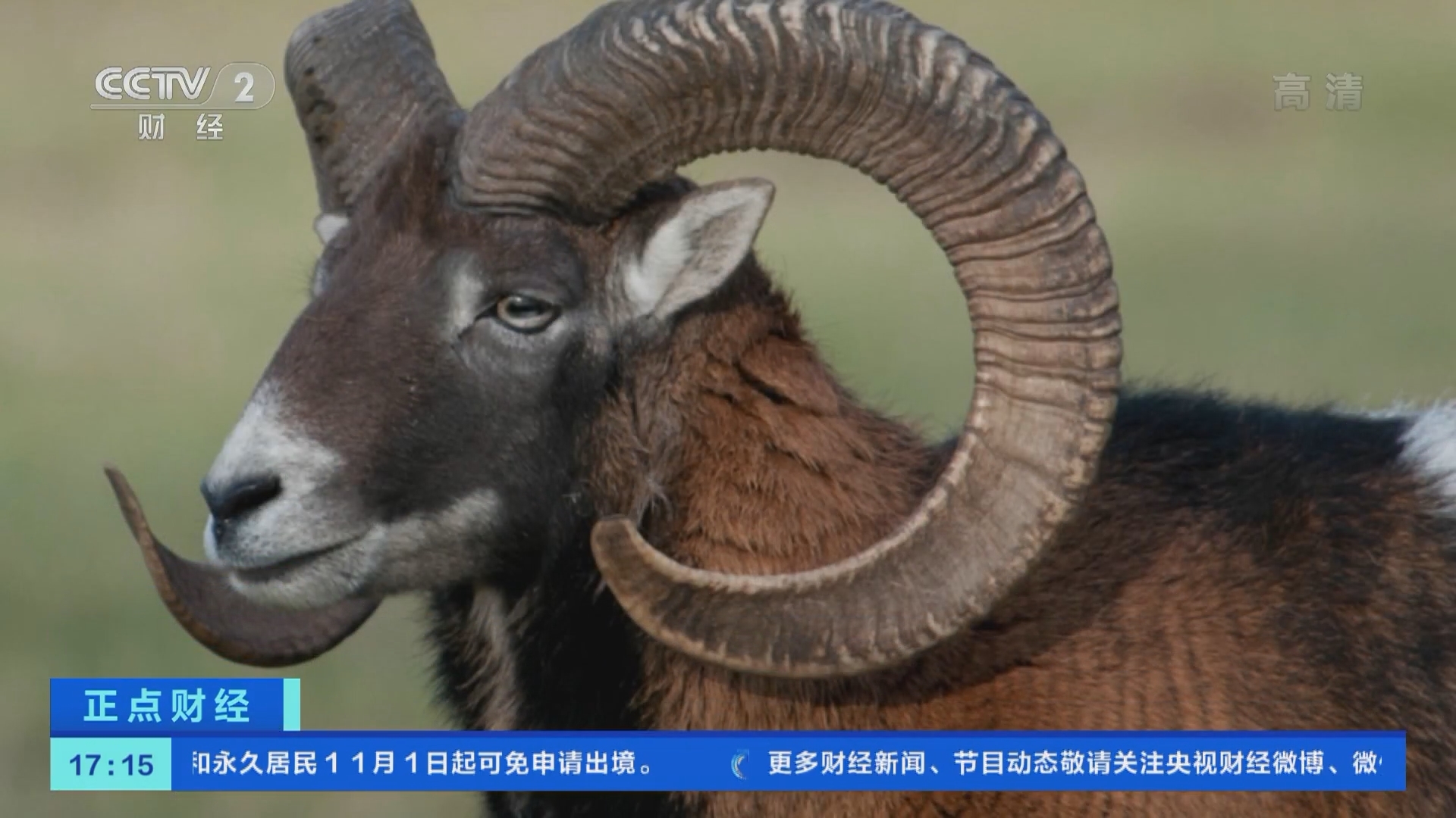 《正点财经》 20211028 17:00
