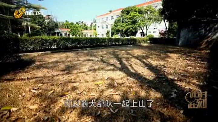 雨林深处的青春