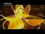 风华国乐 风华国乐 2011年 第144期
